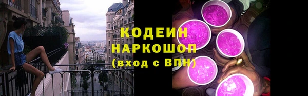 гидра Новозыбков