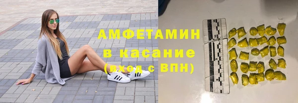 гидра Новозыбков