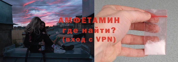 гашик Няндома