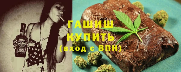 гидра Новозыбков