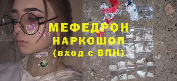 гашик Няндома