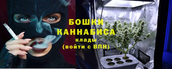 гашик Няндома