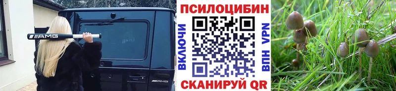 Псилоцибиновые грибы мицелий Кукмор